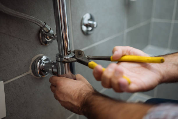 Best Residential Plumbing Services  in Ithaca, NY